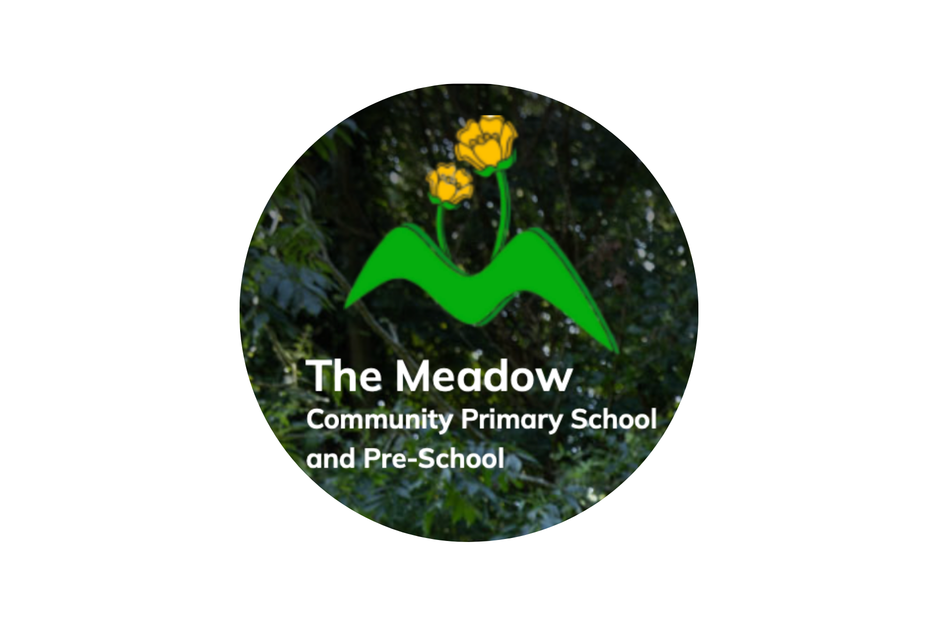 Meadow